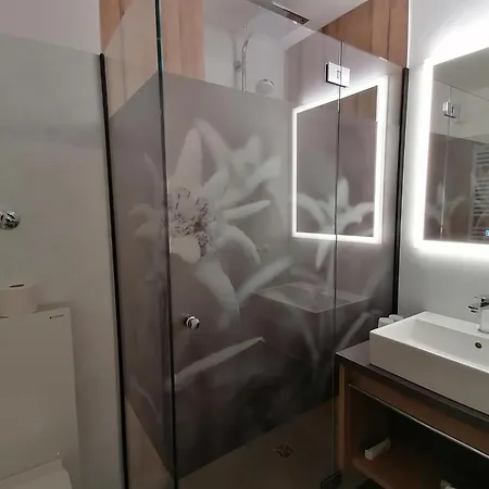 Apartmán Haus Alpenland/schneider